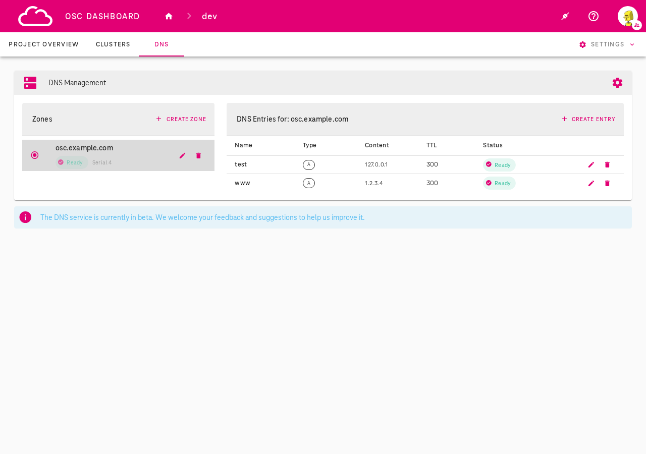 DNS Management Overview