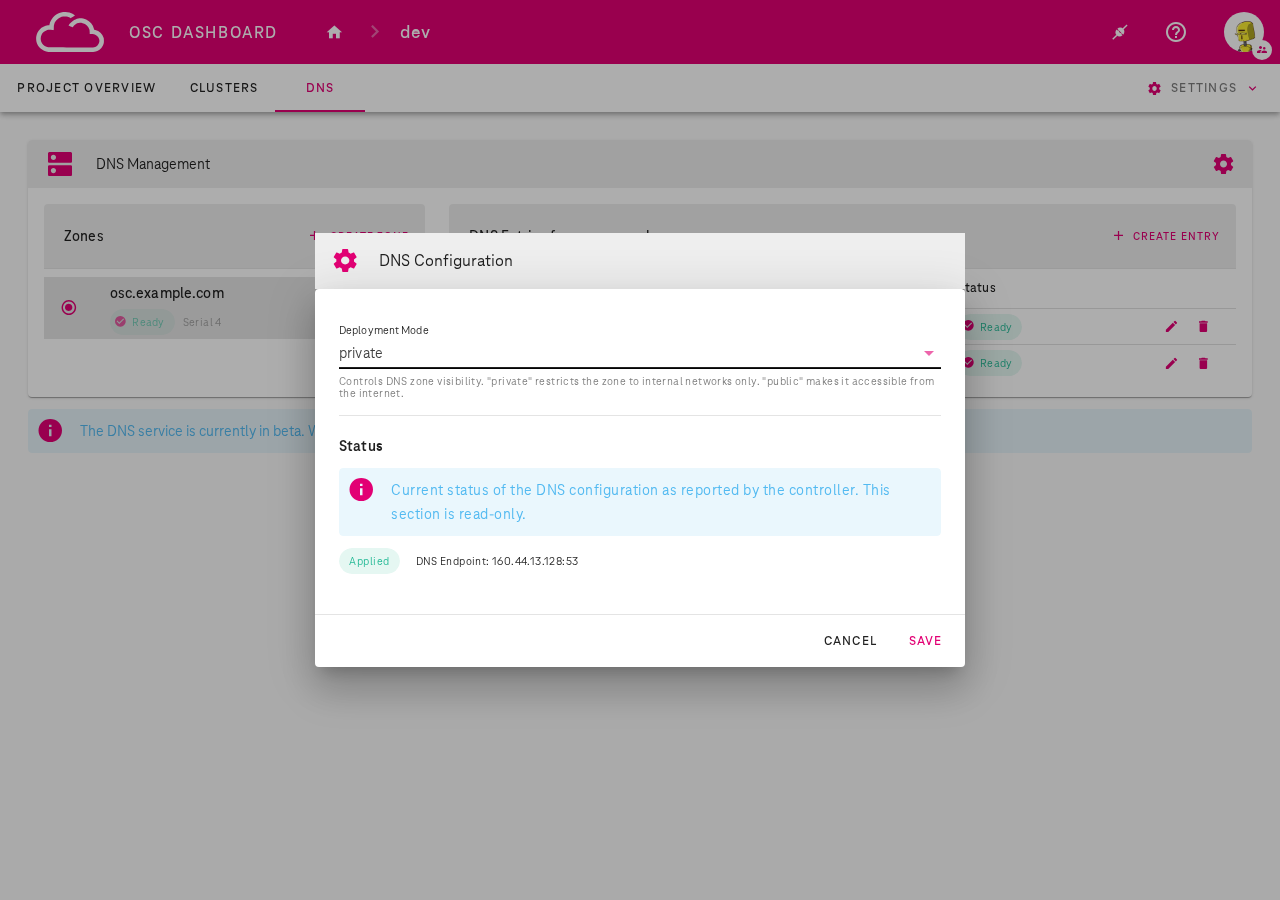 DNS Configuration — private mode