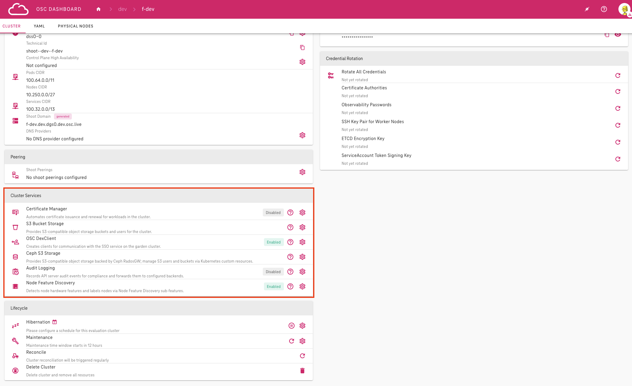 Cluster Services section on the Shoot detail page